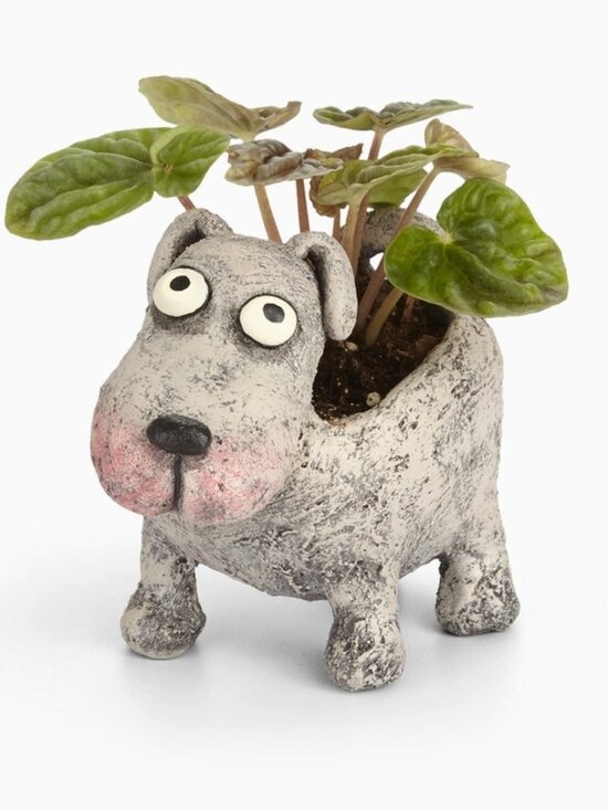Other - Petunia Dog Planter pot